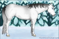 Horse Color:Gray Blue Roan Splash 