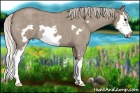 Horse Color:Silver Grullo Roan Splash Frame 