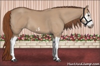 Horse Color:Red Dun Roan Splash Frame Rabicano 