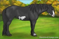 Horse Color:Black Frame 
