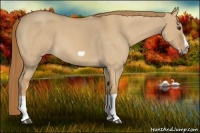 Horse Color:Red Dun Roan Splash Frame Rabicano 