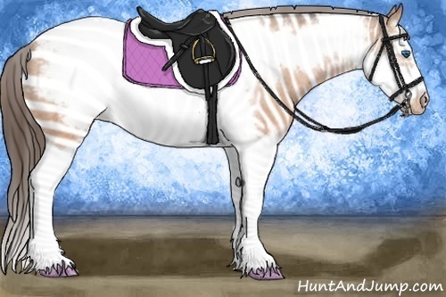 Horse Color:Bay Roan Splash Frame Snowcap