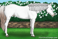 Horse Color:Liver Red Roan Splash Frame Appaloosa 