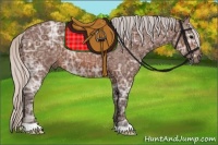 Horse Color:Silver Brown Ice 
