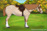 Horse Color:Red Dun Roan Splash Frame Rabicano