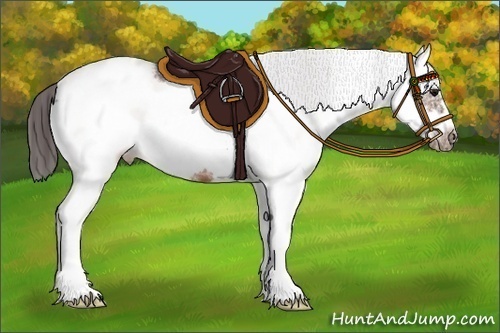 Horse Color:White Spotted Brown Splash Frame Blanket 