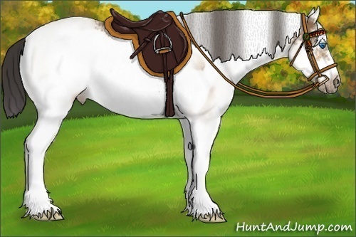 Horse Color:White Spotted Buckskin Splash Frame 