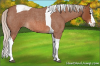 Horse Color:Silver Bay Roan Splash Tobiano