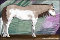 Horse Color:Liver Red Dun Roan Sabino Splash Frame Rabicano