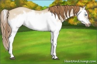Horse Color:Red Dun Roan Splash Frame Rabicano