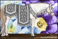 Horse Color:Chestnut Appaloosa 