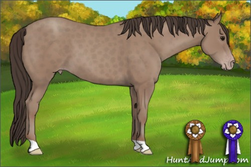 Horse Color: Classic Champagne 
