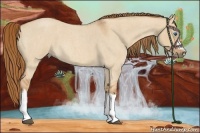 Horse Color:Red Dun Roan Splash Frame Rabicano 