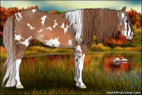 Horse Color:White Spotted Chestnut Splash 