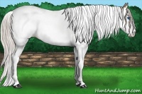 Horse Color:Chocolate Palomino Pearl Splash Tobiano 