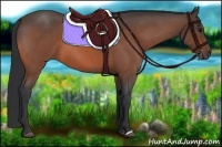 Horse Color:Bay Roan 