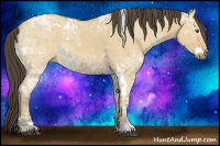 Horse Color:White Spotted Buckskin Ice Dun 