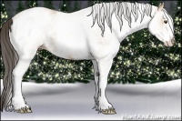 Horse Color:White Spotted Buckskin Ice 