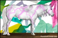 Horse Color:Gray Silver Brown Tobiano 