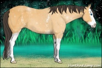 Horse Color:White Spotted Buckskin Splash 