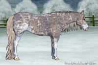 Horse Color:Silver Black Ice Sabino 