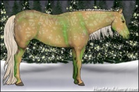 Horse Color:Palomino Ice Sabino 