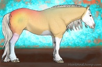 Horse Color:Palomino Splash 