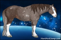 Horse Color:Liver Chestnut Splash 