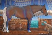 Horse Color:Silver Bay Sabino 