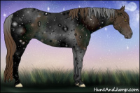 Horse Color:ERROR: UNKNOWN ANOMALY