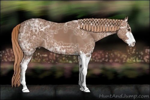 Horse Color: Chestnut Ice Sabino 