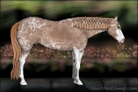 Horse Color:Chestnut Ice Sabino 