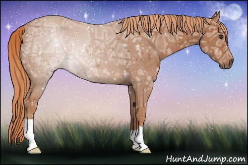 Horse Color: Chestnut Ice 