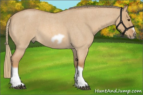 Horse Color: Red Dun Roan Splash Frame Rabicano 