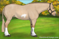 Horse Color:Red Dun Roan Splash Frame Rabicano