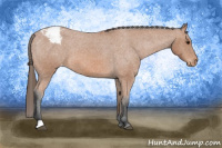 Horse Color:Bay Roan Snowcap 