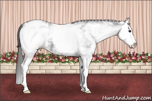 Horse Color: White Spotted Blue Roan Splash Blanket 