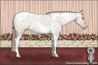 Horse Color:Bay Roan Dun Tobiano Snowcap 