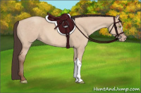 Horse Color:Amber Champagne Dun 