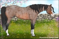 Horse Color:Bay Roan Splash
