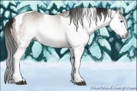 Horse Color:Gray Bay Splash Tobiano 
