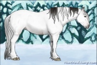 Horse Color:Gray Bay Tobiano 