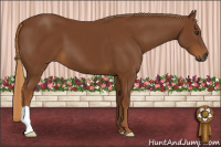 Horse Color:Gray Chestnut 
