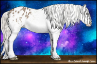 Horse Color:White Spotted Silver Grullo Splash Varnish 
