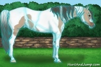 Horse Color:Thunderstruck Liver Red Dun Tobiano 