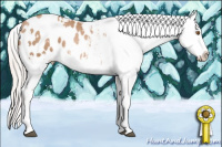 Horse Color:Silver Brown Pearl Sabino Blanket 