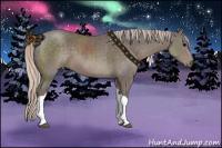 Horse Color:Silver Black Tobiano