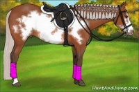 Horse Color:Silver Bay Frame 