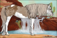 Horse Color:Chocolate Palomino Splash Blanket 