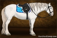 Horse Color:Smoky Creme Roan Dun 